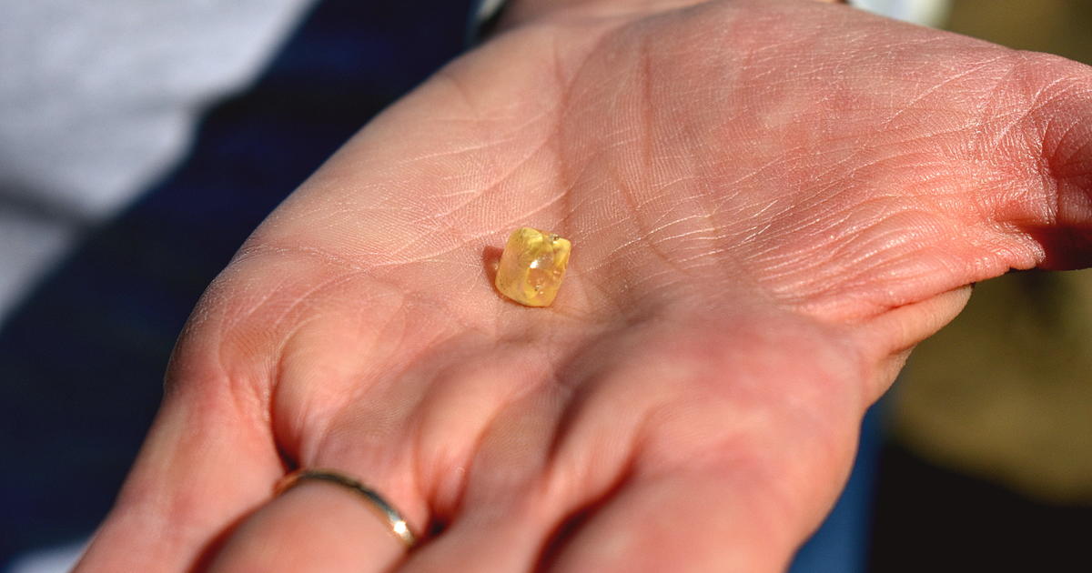 Al visitar el parque estatal, la pareja encontró un diamante del tamaño de un jellybean.