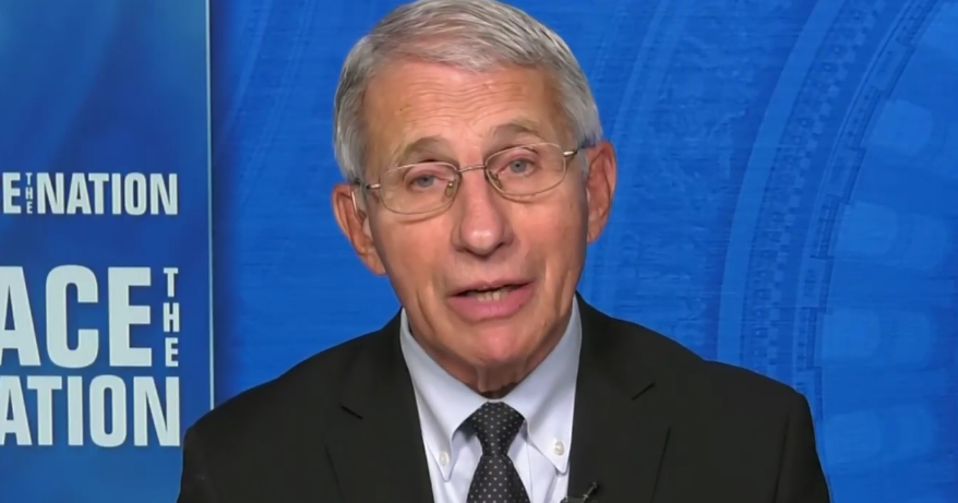 Fauci says it's "too soon to tell" whether Americans should avoid gathering for Christmas