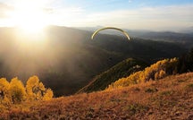 Taking leaf-peeping to new heights 