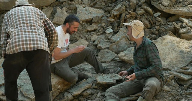 Two English fossil hunters discover unprecedented collection