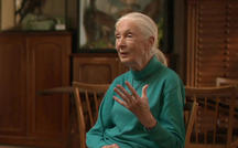 Jane Goodall's message of hope 