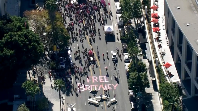 free-britney-rally.png 