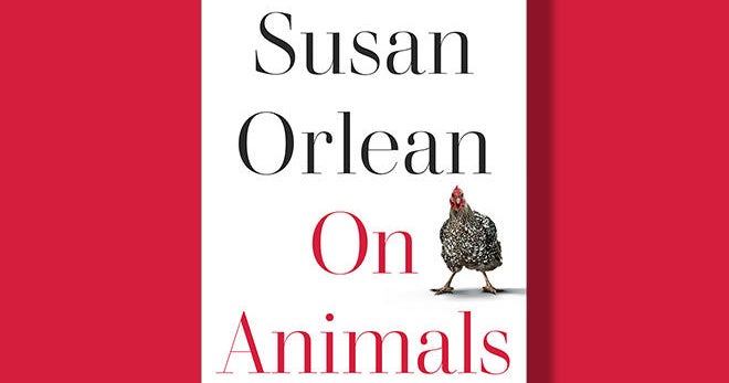 Book excerpt: "On Animals" by Susan Orlean - Vimarsana News