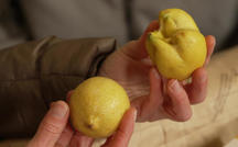 What happens to ugly fruit and produce? 