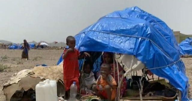 War in Ethiopia fuels humanitarian crisis