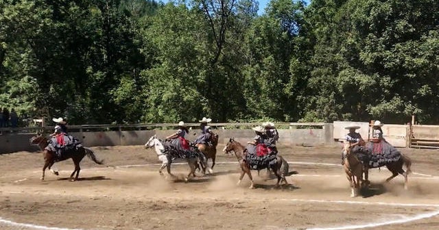 Mexican-American escaramuzas transcend borders with cultural tradition of choreographed horse riding