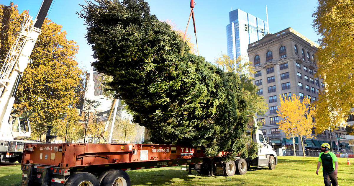 Tradition behind Boston Common’s Christmas tree has endured decades and a pandemic: “This is a symbol of what we can do”