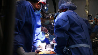 Surgeons transplant pig heart into human 