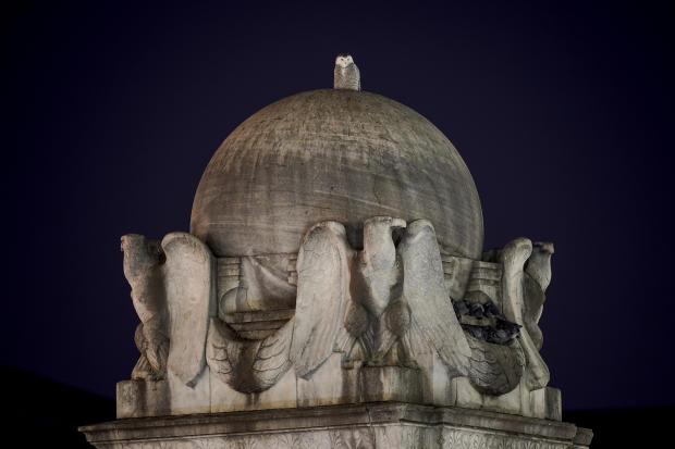 Snowy Owl Washington Monuments 