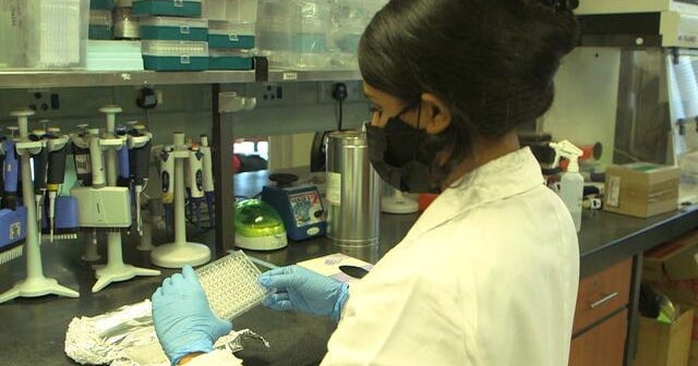 Vaccinologists optimistic that South Africa is over the worst of the pandemic after Omicron wave