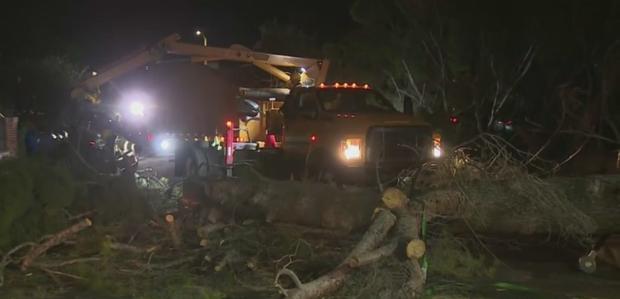 Gusty Santa Ana Winds Down 2 Trees On Same Sylmar Property 
