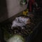 Ukrainian women describe giving birth during Russian invasion