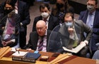 U.N. Security Council Discusses Humanitarian Crisis In Ukraine 
