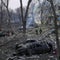 Russia-Ukraine war: What you need to know now