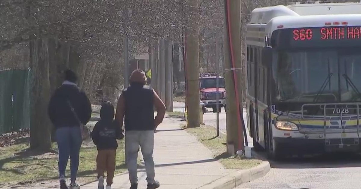 Volunteers in Coram are taking back Route 25 after years of bus shelter blight - Vimarsana News