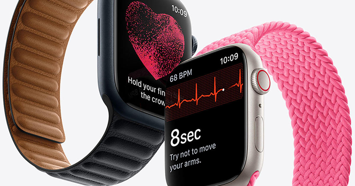 APPLE APPLE WATCH SE 44 GOAL SL 202109 … | forstec.com