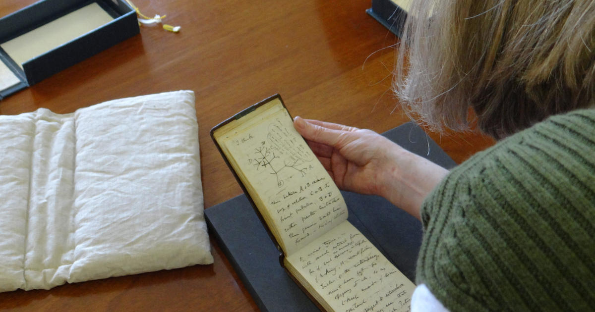 Charles Darwin's "Tree of Life" notebooks, missing for two decades, mysteriously returned — along with a message for the librarian