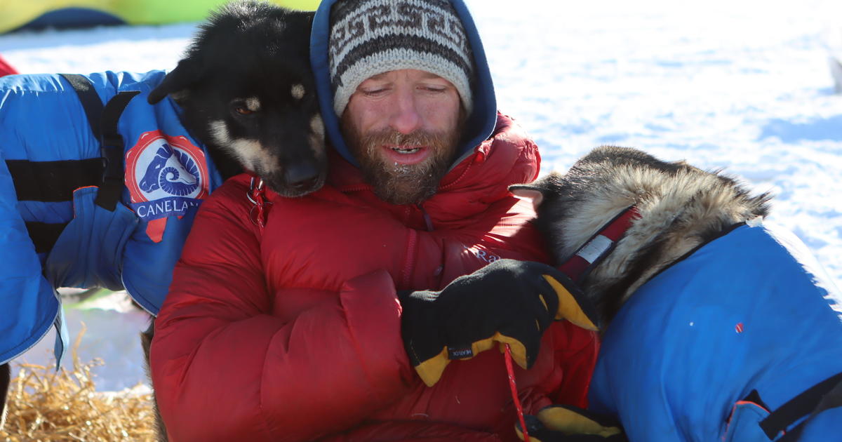 Family pet killed by sled dogs owned by Iditarod veteran, reality TV star Jessie Holmes: "A really terrible accident due to my negligence"