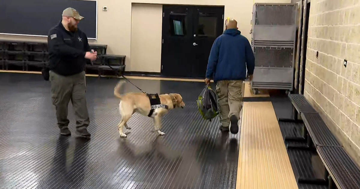 Demand for gun-detecting K-9 units at retail stores skyrockets after Mag Mile Neiman Marcus arrest - Vimarsana News