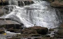 Nature: South Carolina falls 