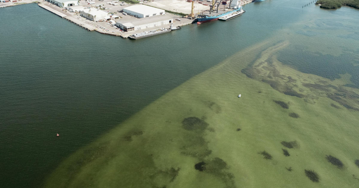 Contaminated water from Florida mining facility dumped a year’s worth of hazardous nutrients into Tampa Bay in just 10 days, study shows