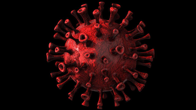 Coronavirus 3D Render 