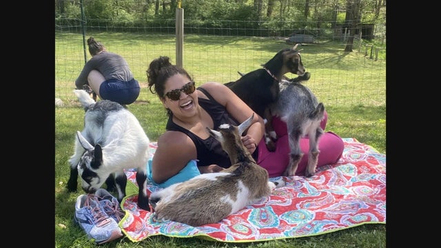 baby-goat-yoga.jpg