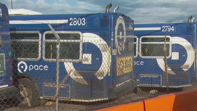 pace-bus.jpg