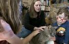 cbsn-fusion-cat-reunited-with-owners-16-years-after-running-away-thumbnail-1022194-640x360.jpg 